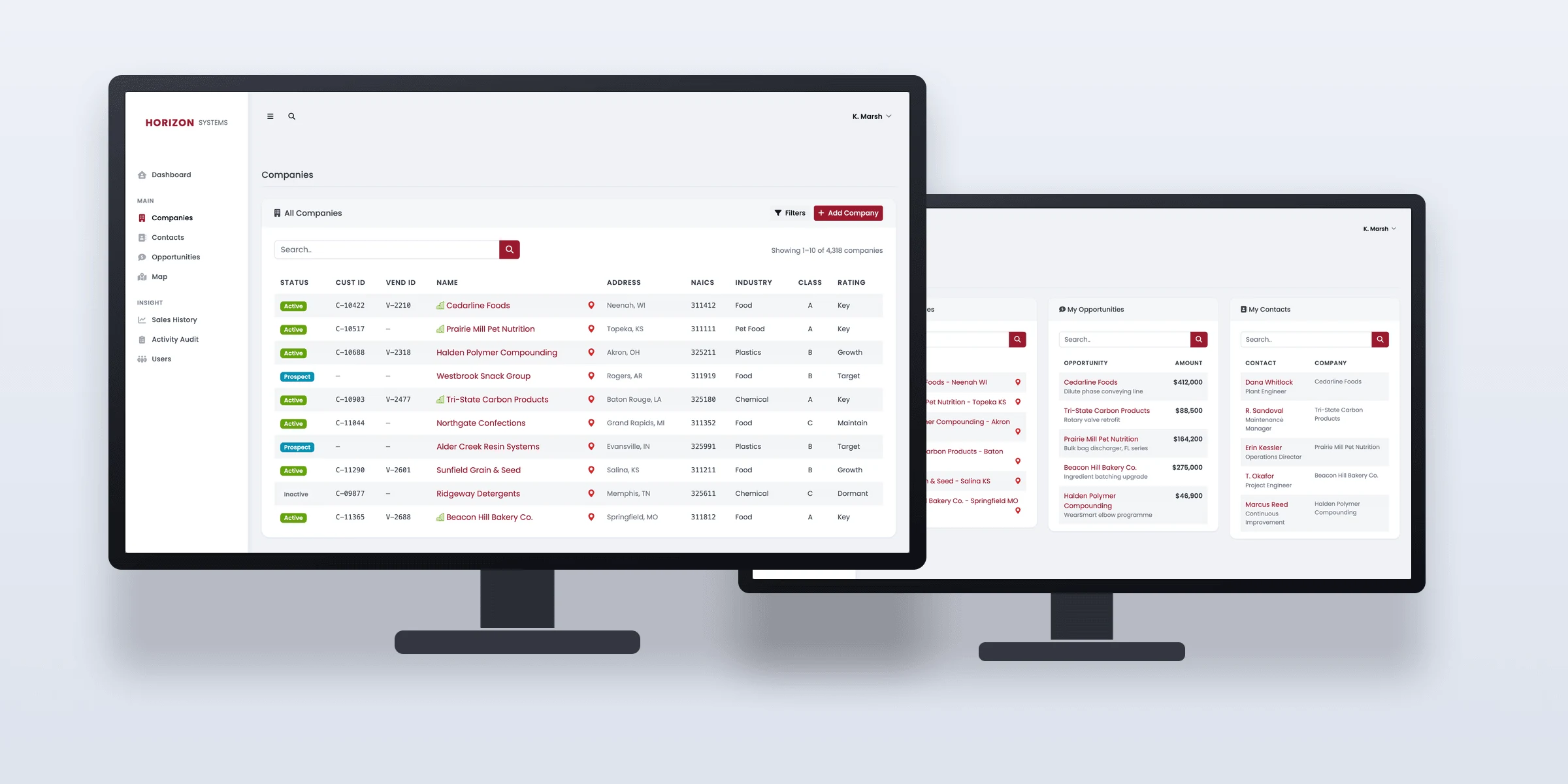 Company records showing ERP customer and vendor IDs, NAICS classification and account rating, alongside the rep dashboard